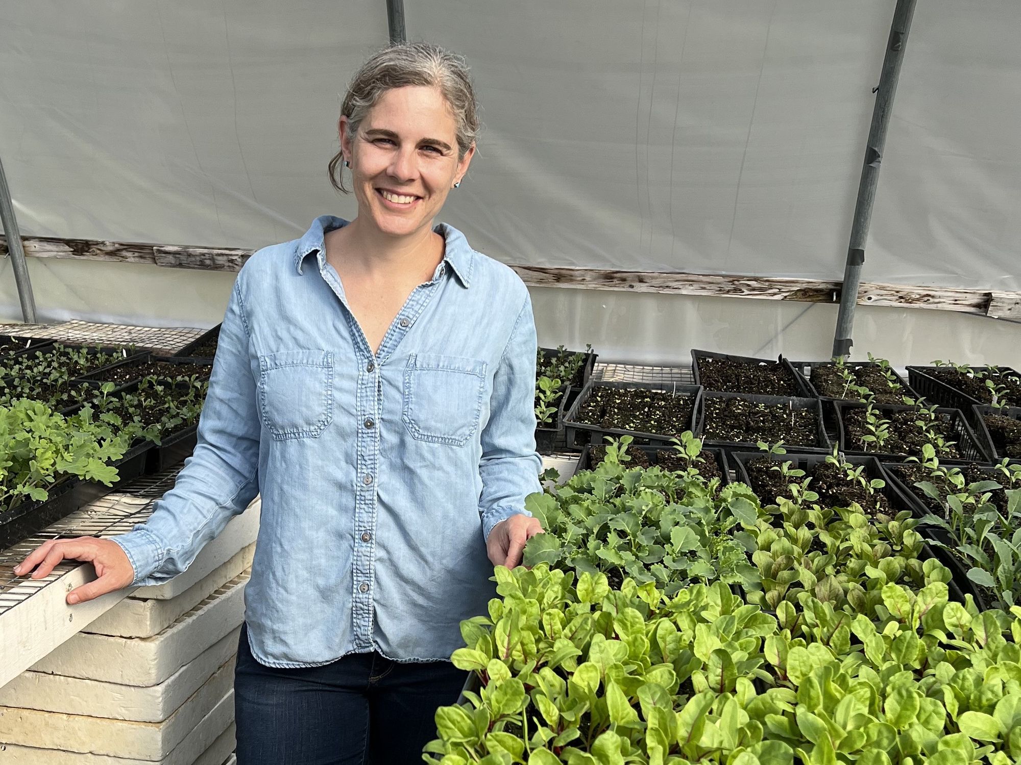 Northwest Corner farmers aided by climate-smart grants