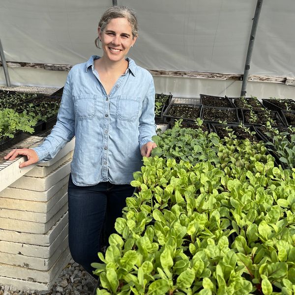 Northwest Corner farmers aided by climate-smart grants