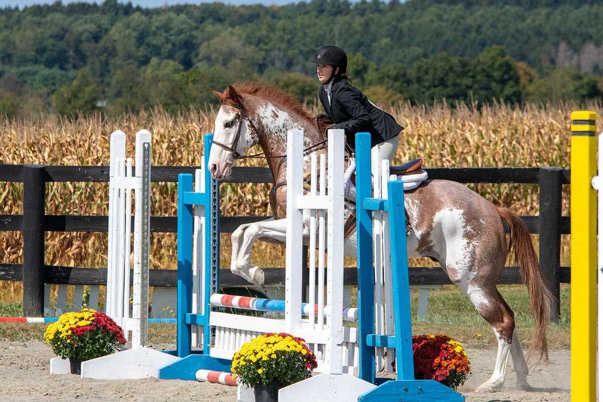 Lakeville Open Horse Show returns for 69th year