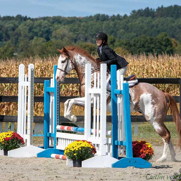 Lakeville Open Horse Show returns for 69th year