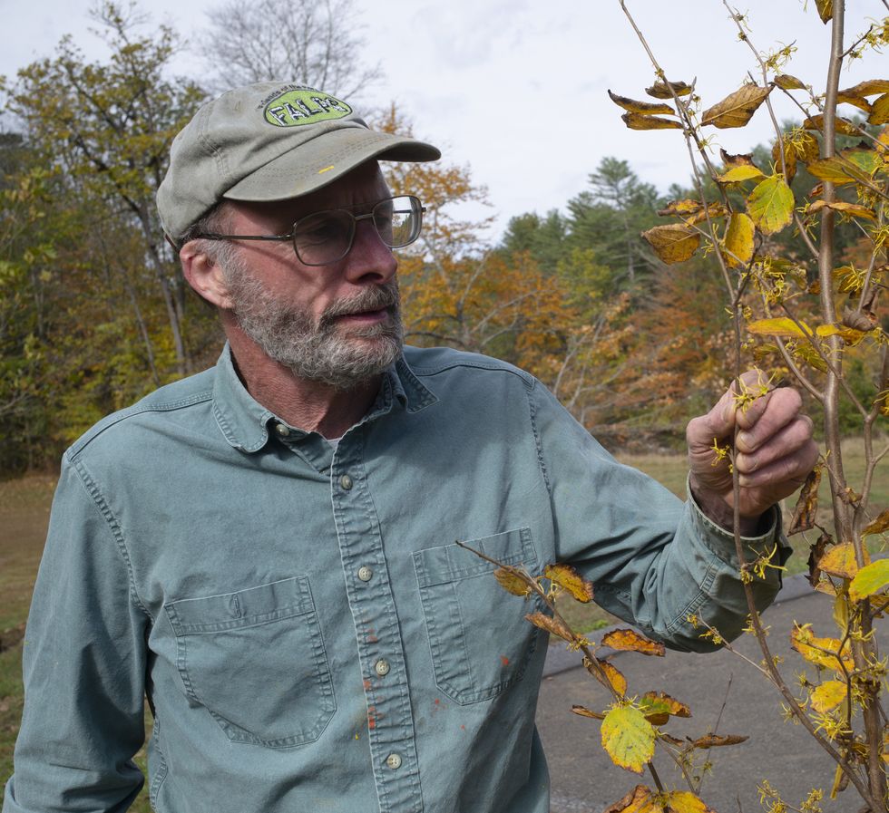 Housatonic Meadows: Restoration marches to  fall schedule