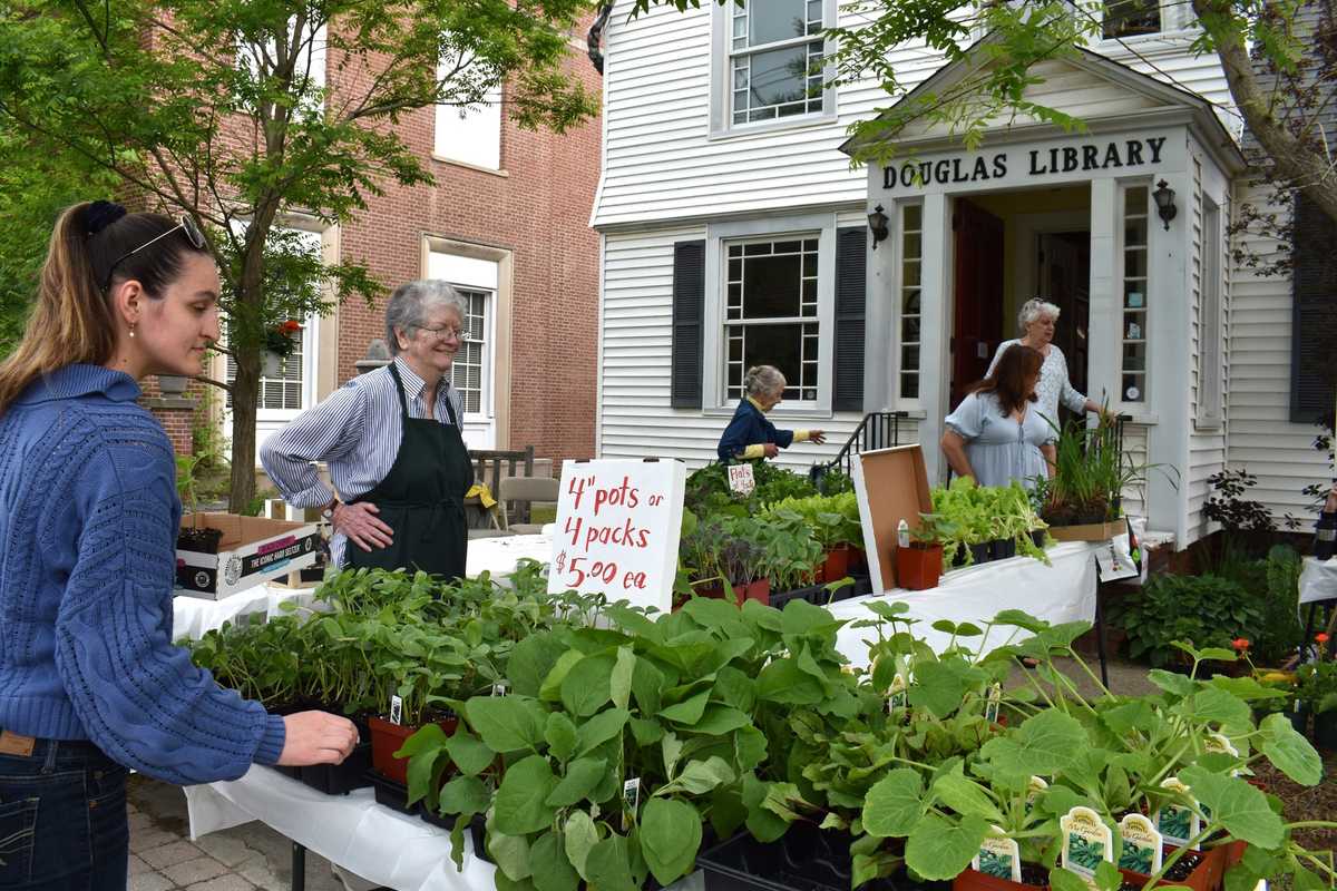 Leafing through deals at Douglas Library
