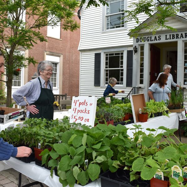 Leafing through deals at Douglas Library