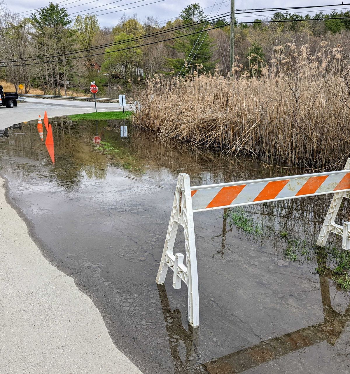 Soaking up stormwater solutions