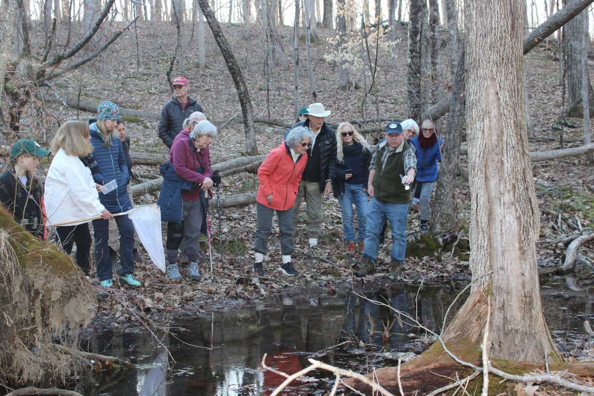 The hidden world of vernal pools