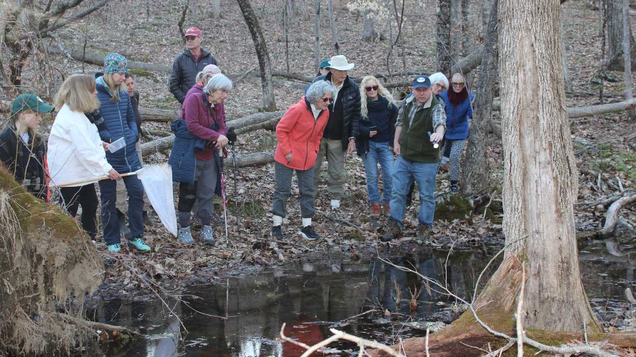 The hidden world of vernal pools