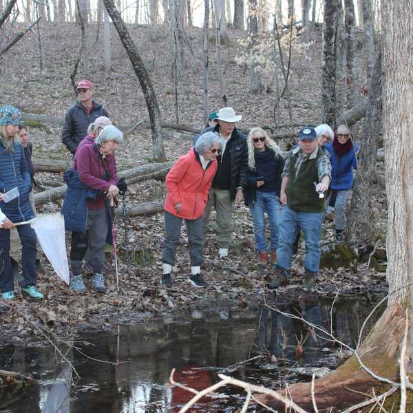 The hidden world of vernal pools