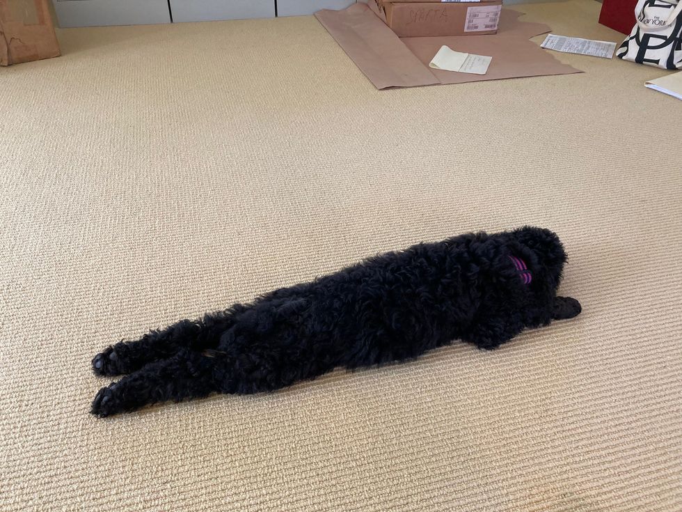 Communing with Katie