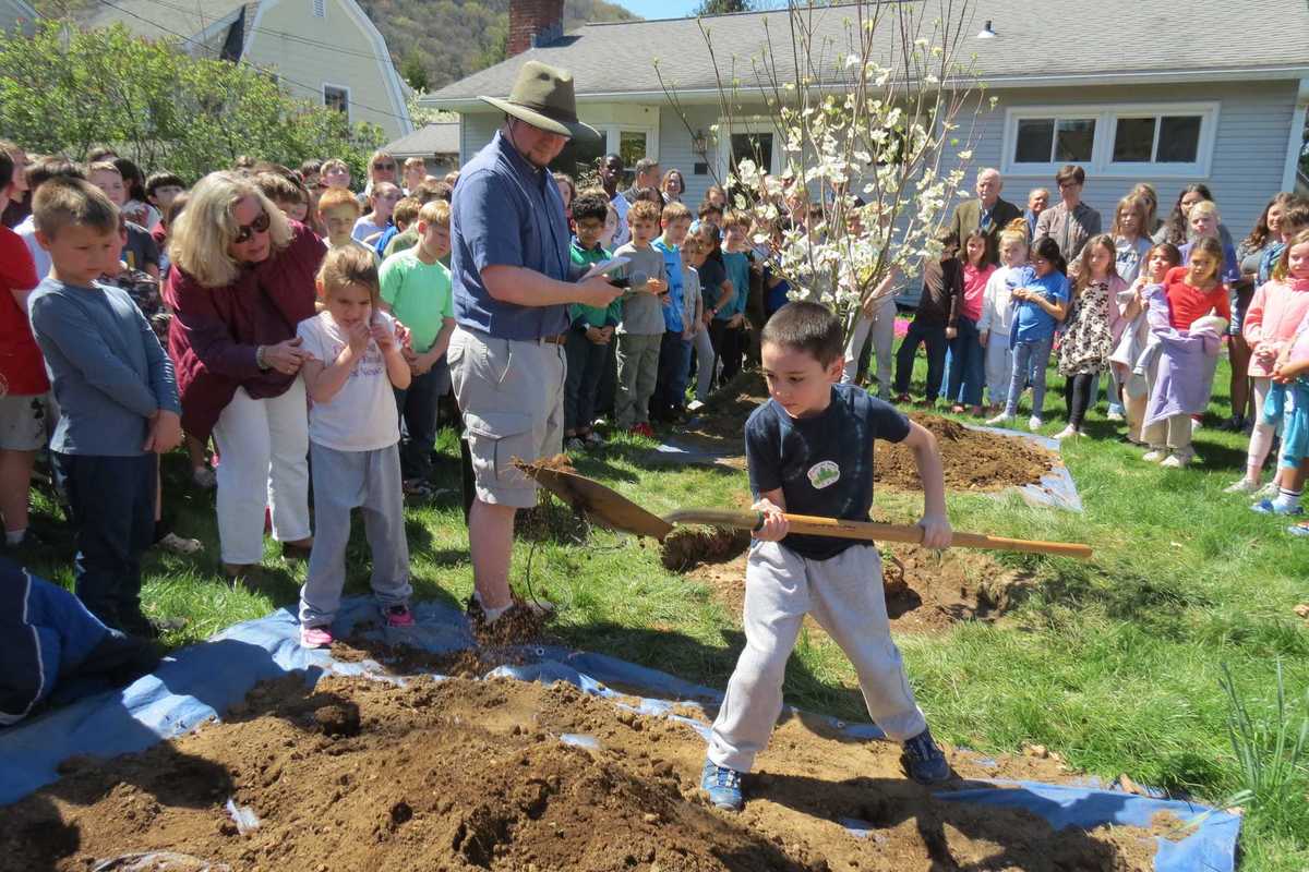 Kent students plant, share eco-projects