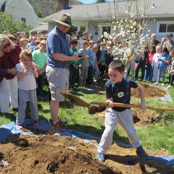 Kent students plant, share eco-projects