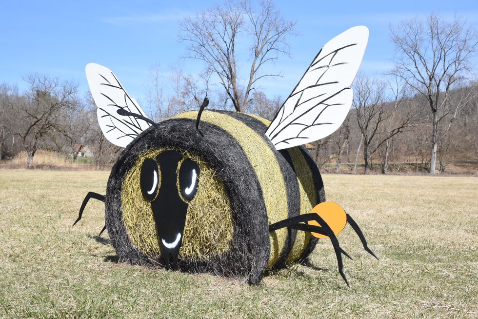 Mowing less, to benefit flora & pollinators