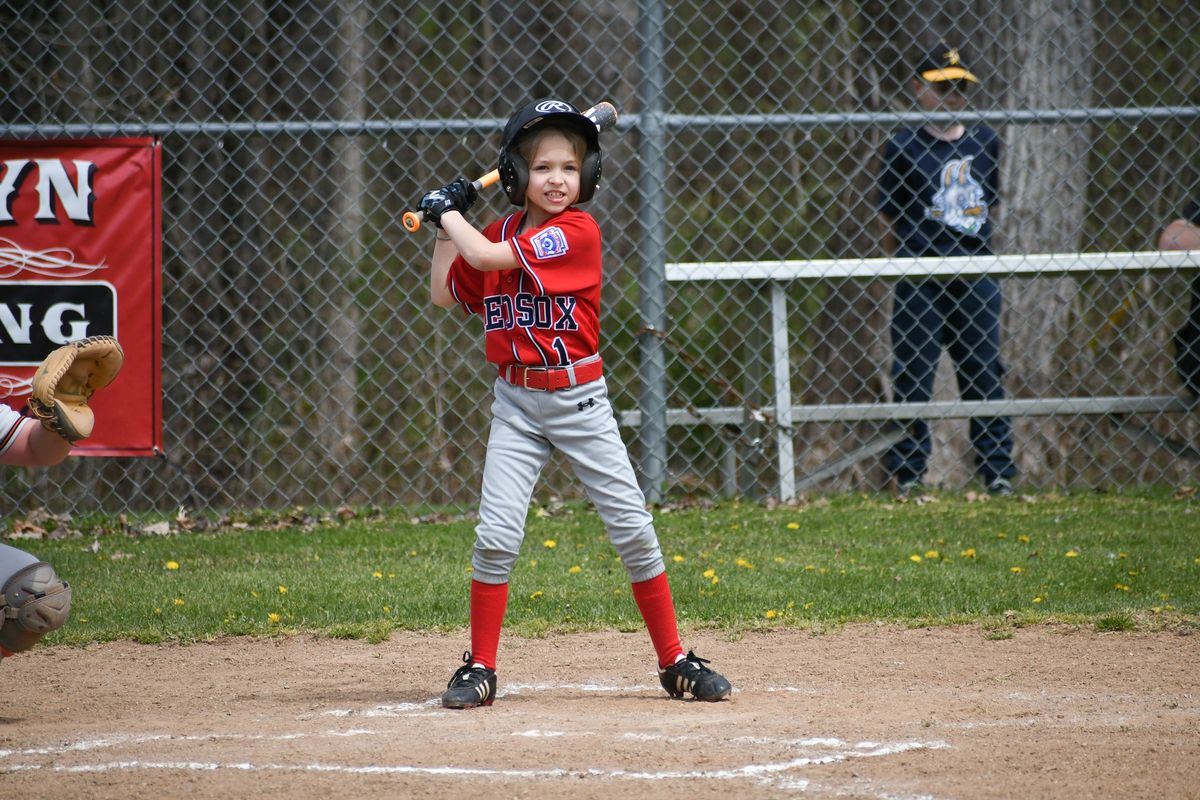 Little league baseball returns to Steve Blass Field | The Lakeville Journal