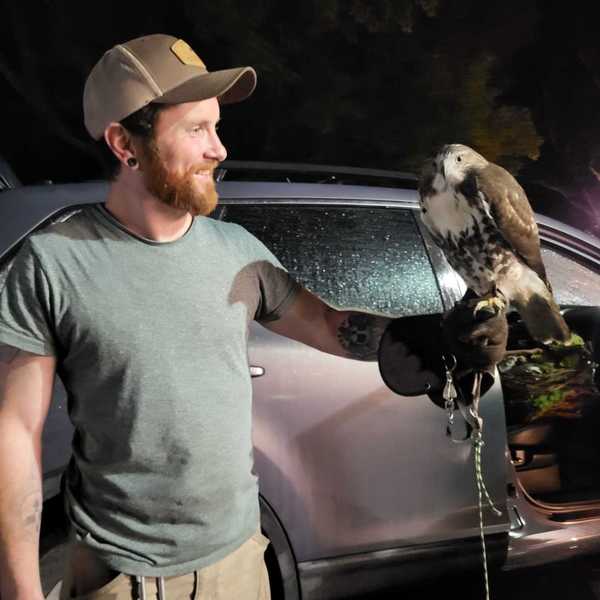 Who to call when things go flutter-scratch-thump