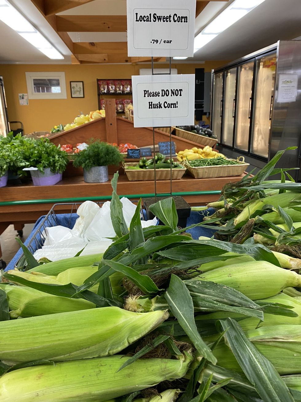 A great year for corn — but for tomatoes, maybe not so much