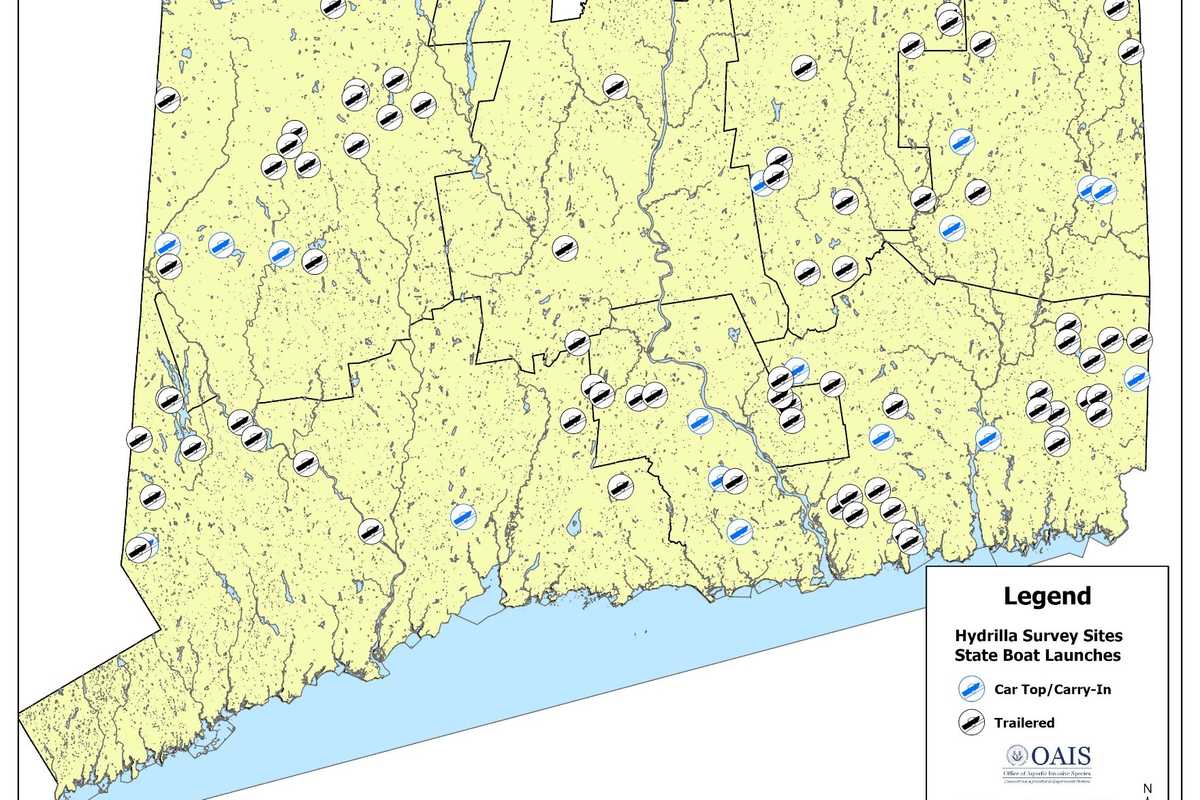 Hydrilla’s ‘alarmingly rapid’ spread prompts state survey of boat launches