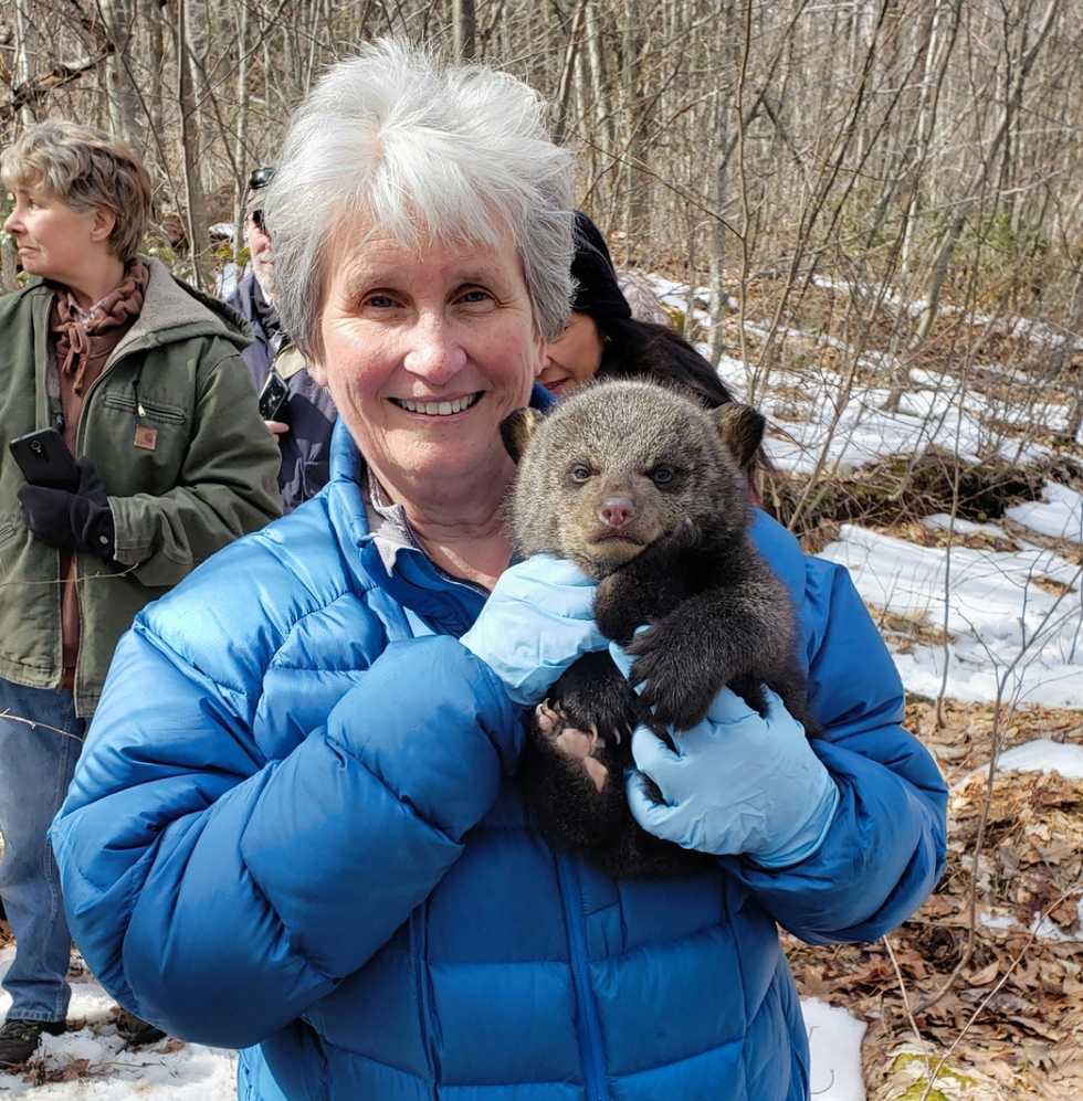 Raccoons and skunks on Feb. 18