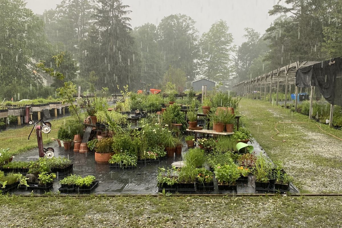 The Ungardener: by the books