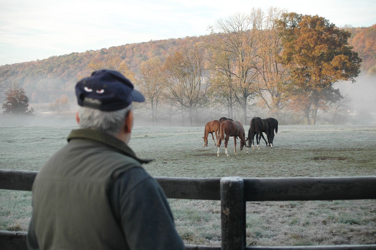 Remembering Frank Stella, artist and farmer