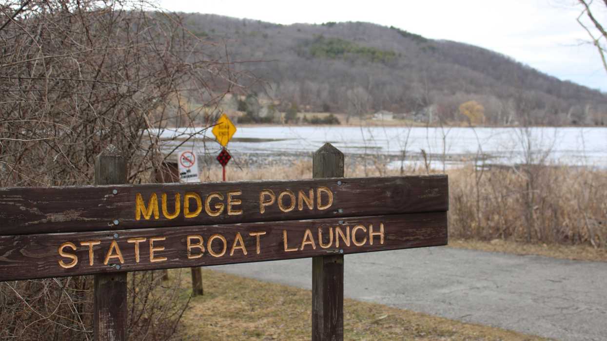Mudge Pond faces rising nutrient levels and invasive species