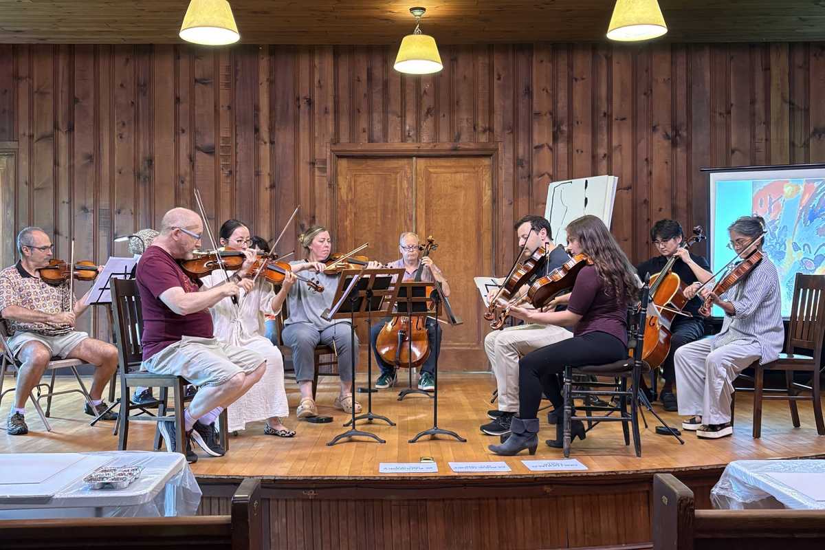 Brushstrokes in harmony for Chamberfest