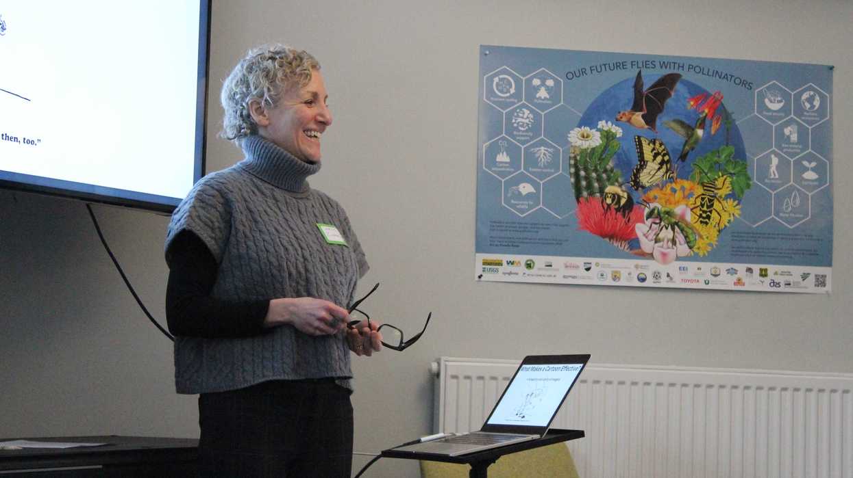 Millerton News cartoonist shares tips at Scoville library