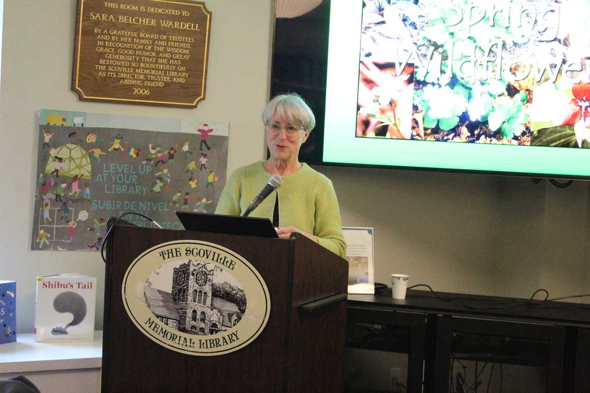 What wildflower enthusiasts can expect this spring, according to a naturalist