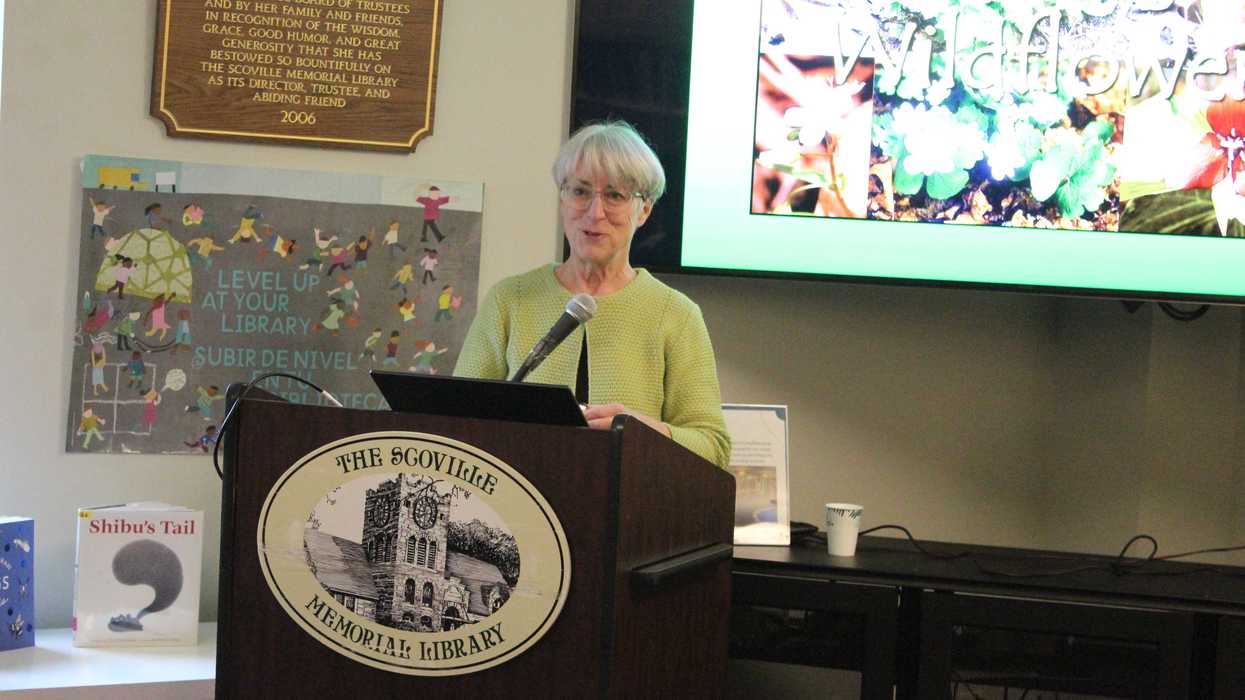 What wildflower enthusiasts can expect this spring, according to a naturalist