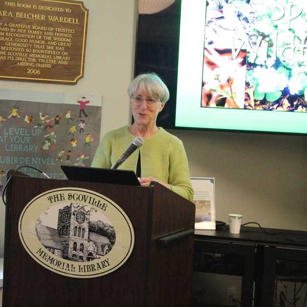 What wildflower enthusiasts can expect this spring, according to a naturalist