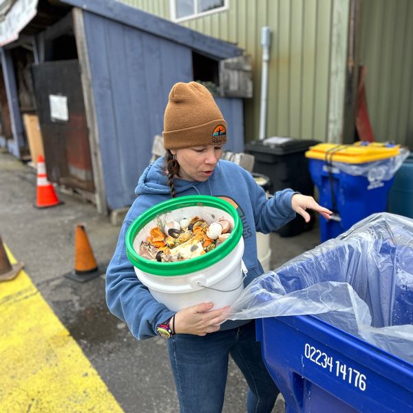 From scraps to soil: Breaking down Connecticut’s composting trend