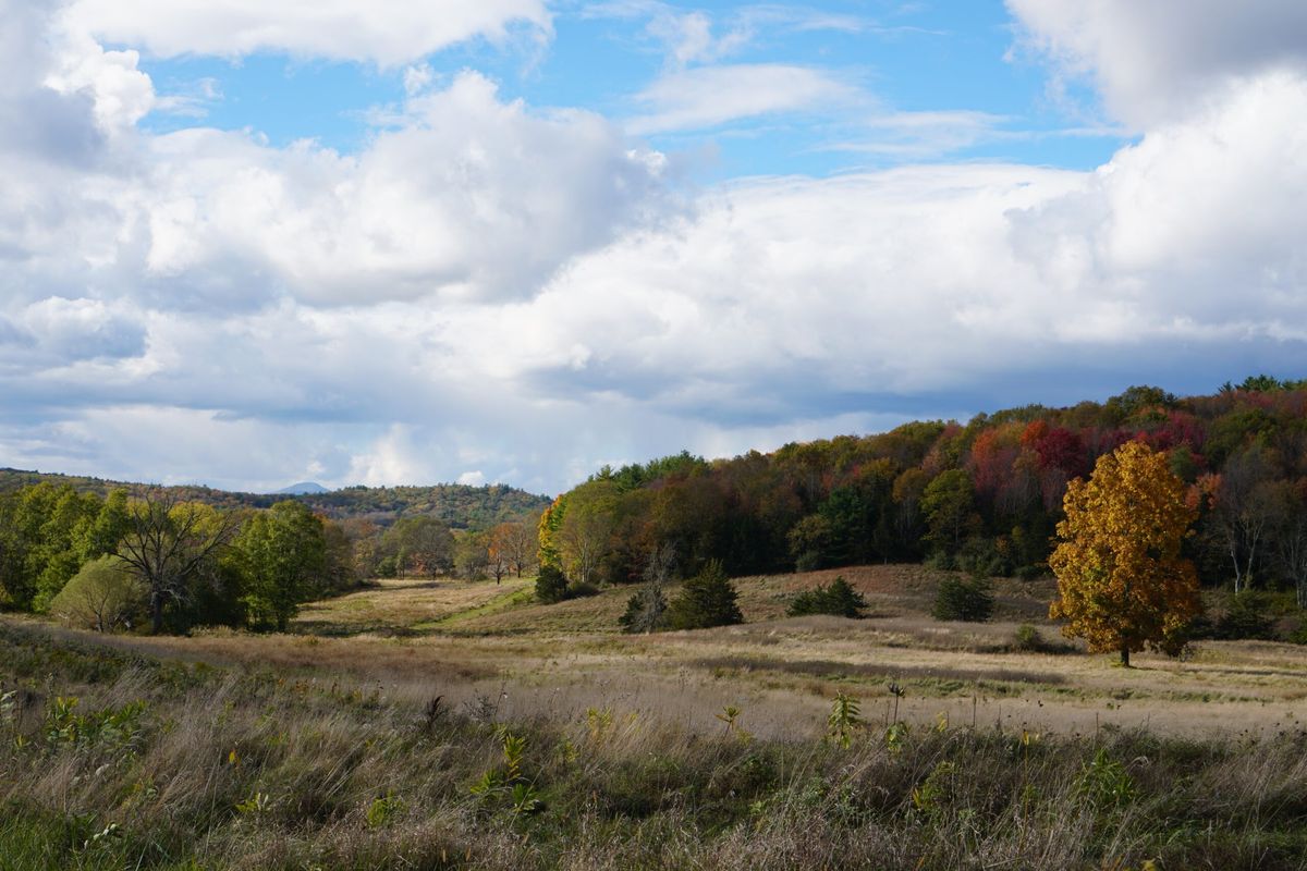 Durst lists 1,946 acres for sale in Pine Plains and Milan, N.Y.