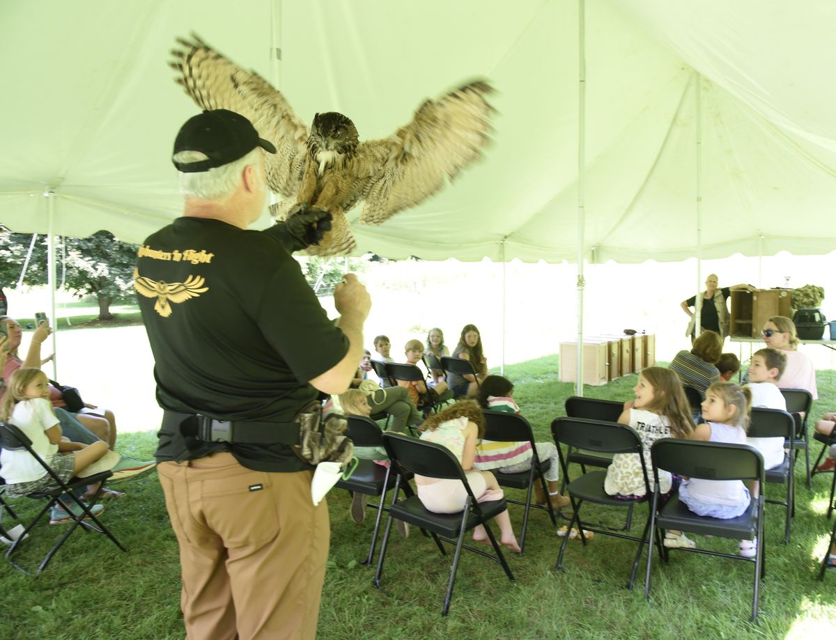 ‘Skyhunters’ swoop into Cornwall for live bird presentation