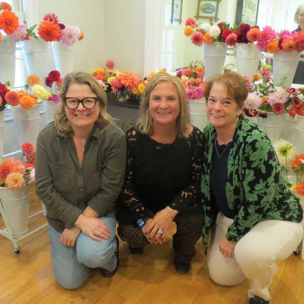 Dahlias fill Sharon Historical Society for Best in Bloom festival