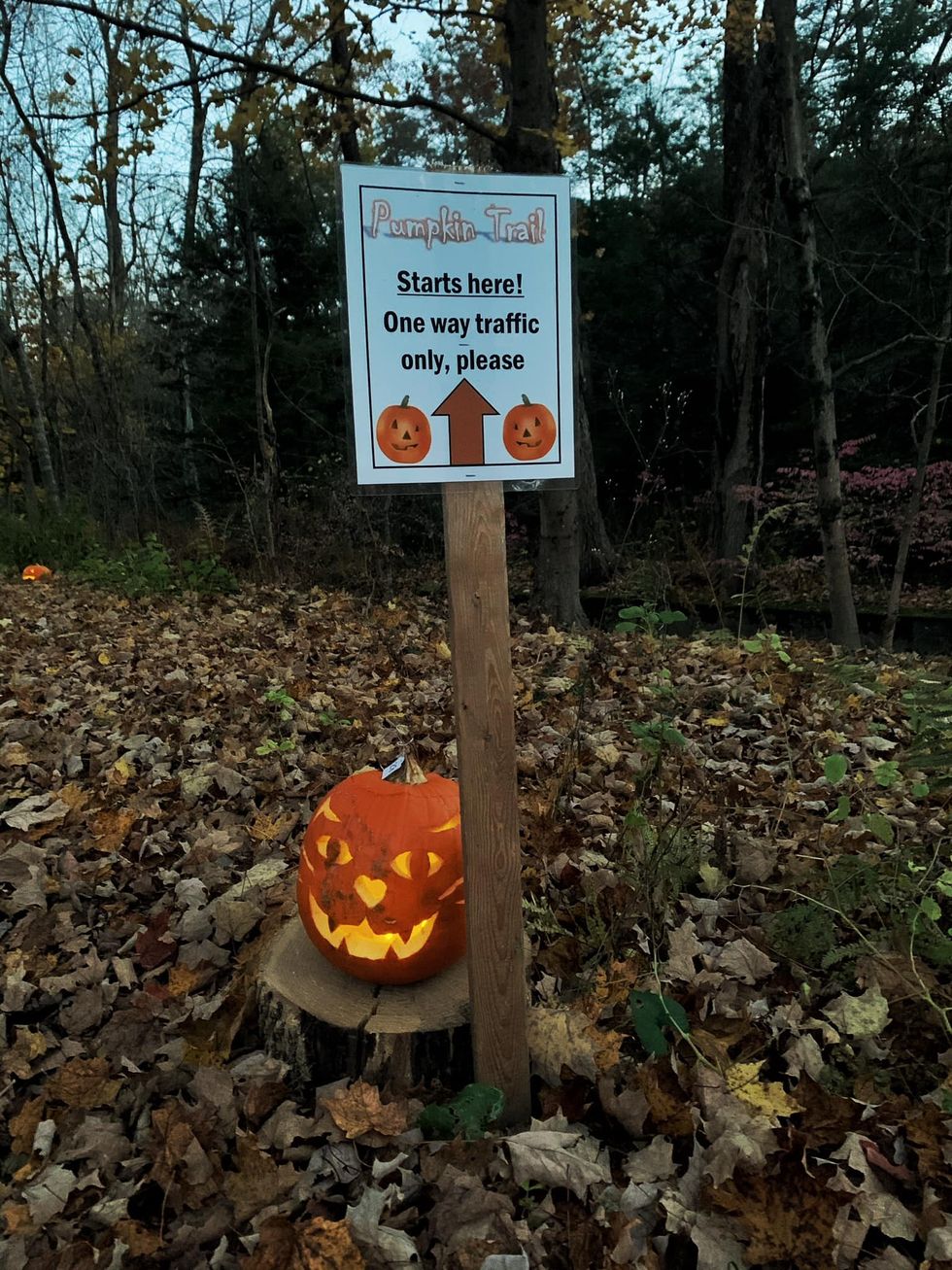 Pumpkins Invited  To Join the  Audubon Trail