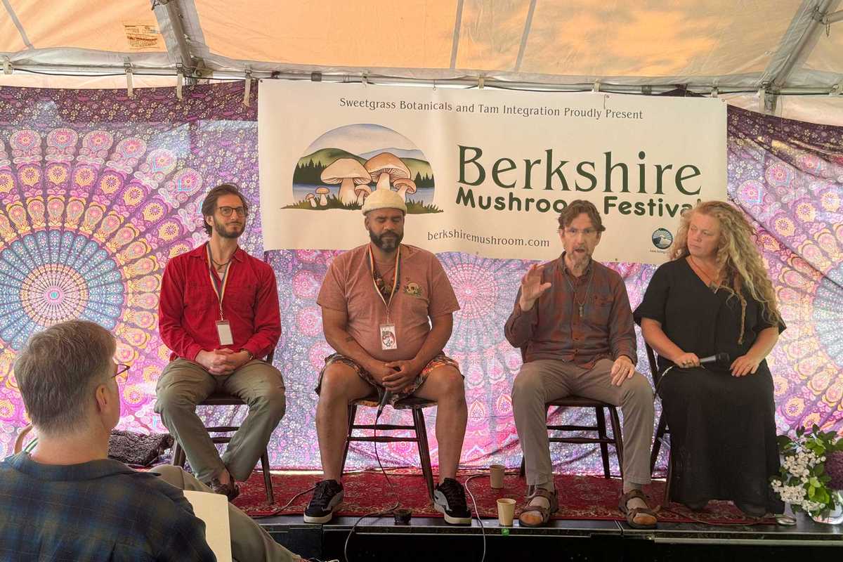 The mycelial web of nature, creativity, science and magic at Berkshire Mushroom Festival