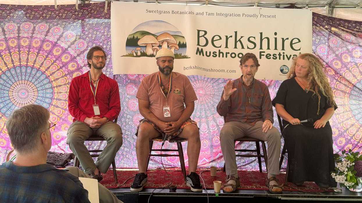 The mycelial web of nature, creativity, science and magic at Berkshire Mushroom Festival