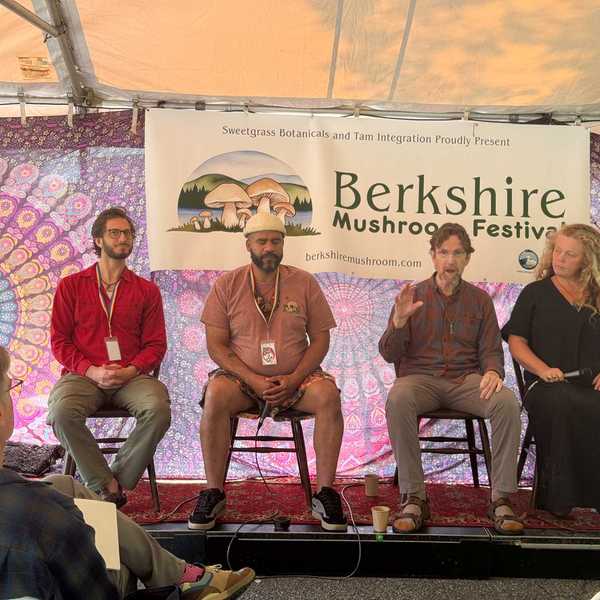 The mycelial web of nature, creativity, science and magic at Berkshire Mushroom Festival
