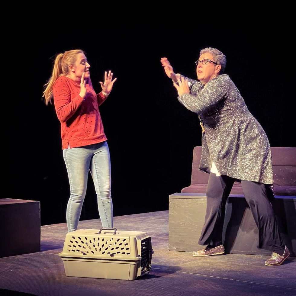 ‘Grumpy Cat’ and the madness of internet memes explored in a new play: ‘put on a grumpy face’