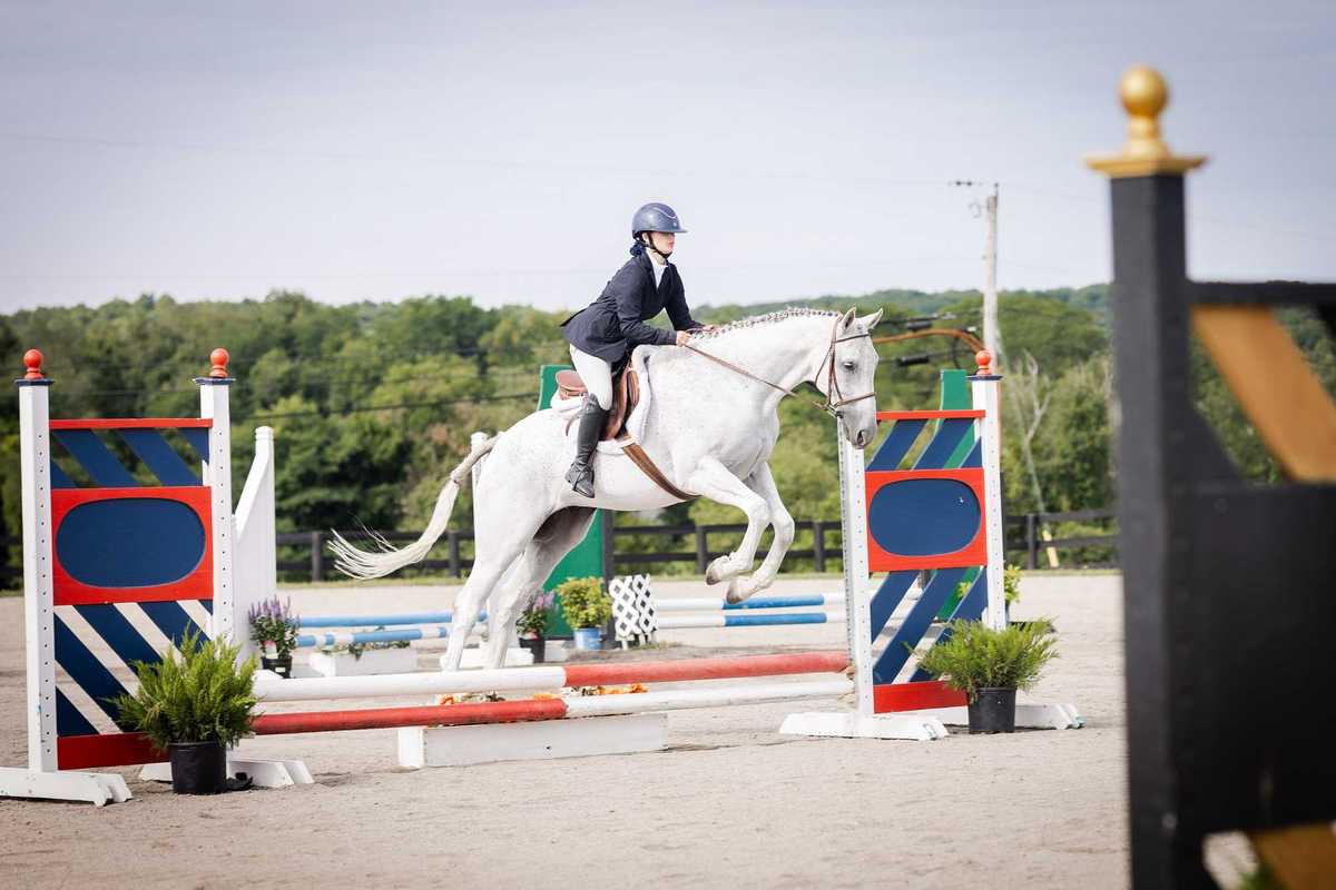 Rider and horse jump over fence in competition