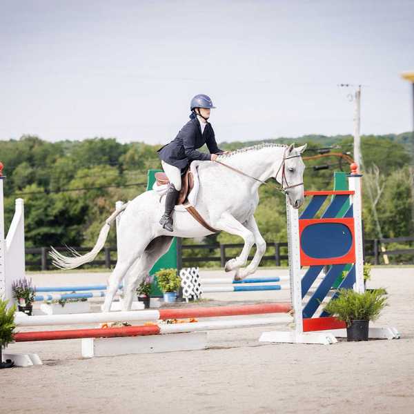 Rider and horse jump over fence in competition