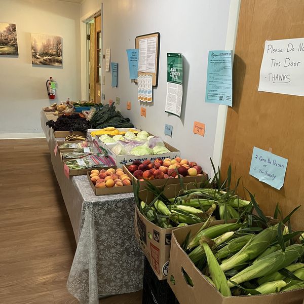 Fresh veggies at Fishes and Loaves