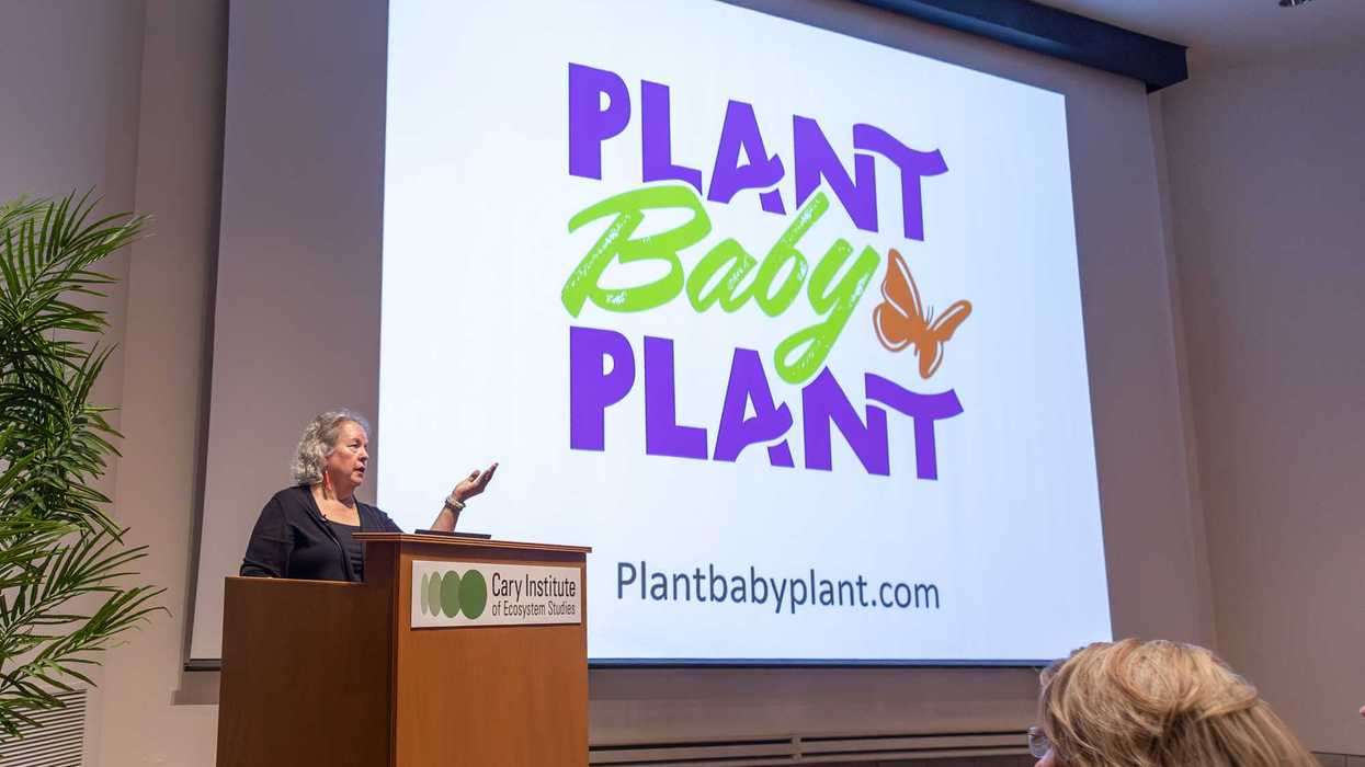 Robin Wall Kimmerer urges gratitude, reciprocity in talk at Cary Institute