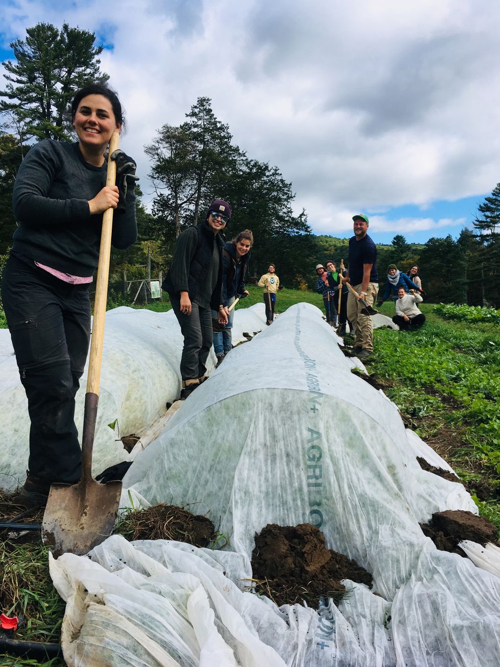 Feeding the soil, not the crop, key to organic farming success