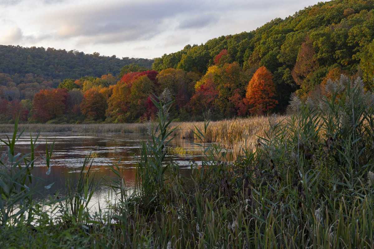 Fall Photo Contest