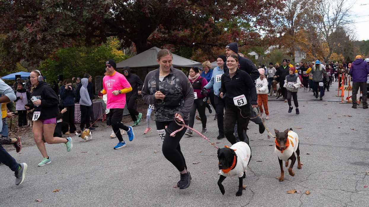 Runners and dogs race to support Little Guild