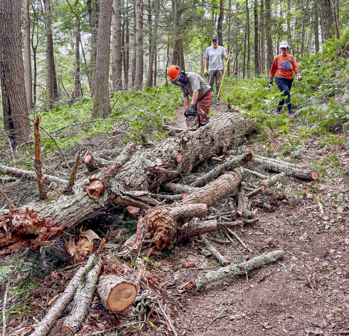 Volunteers reopen trails after July 4 storm damage