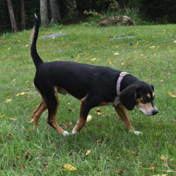 A second chance in Wingdale
