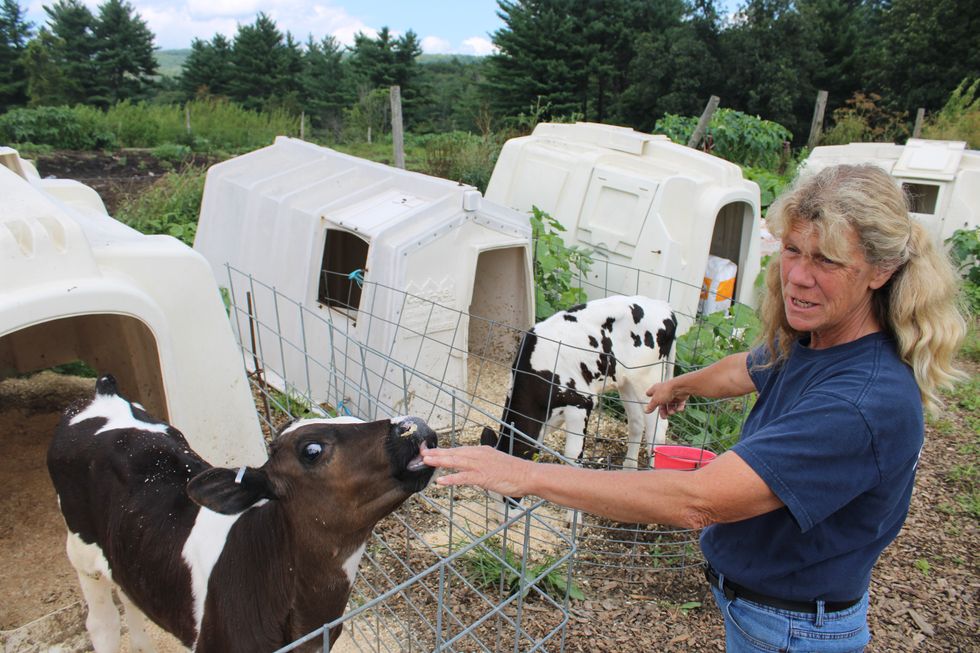 Cream of the crop: North Canaan dairy farms trace a rich history