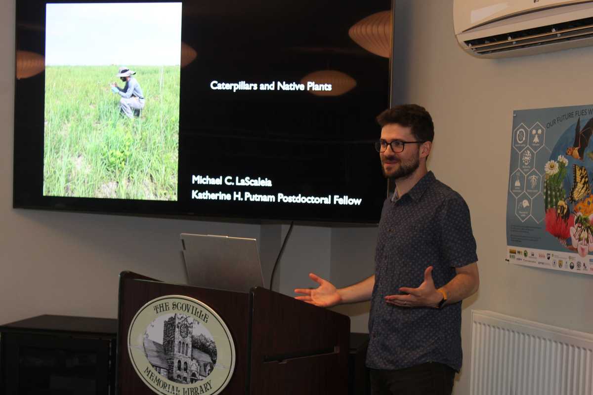 ‘Hanging out with bugs’ at Scoville