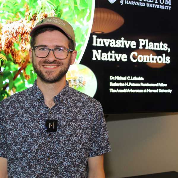 Scientist seeks hardier caterpillar to combat invasive Tree of Heaven