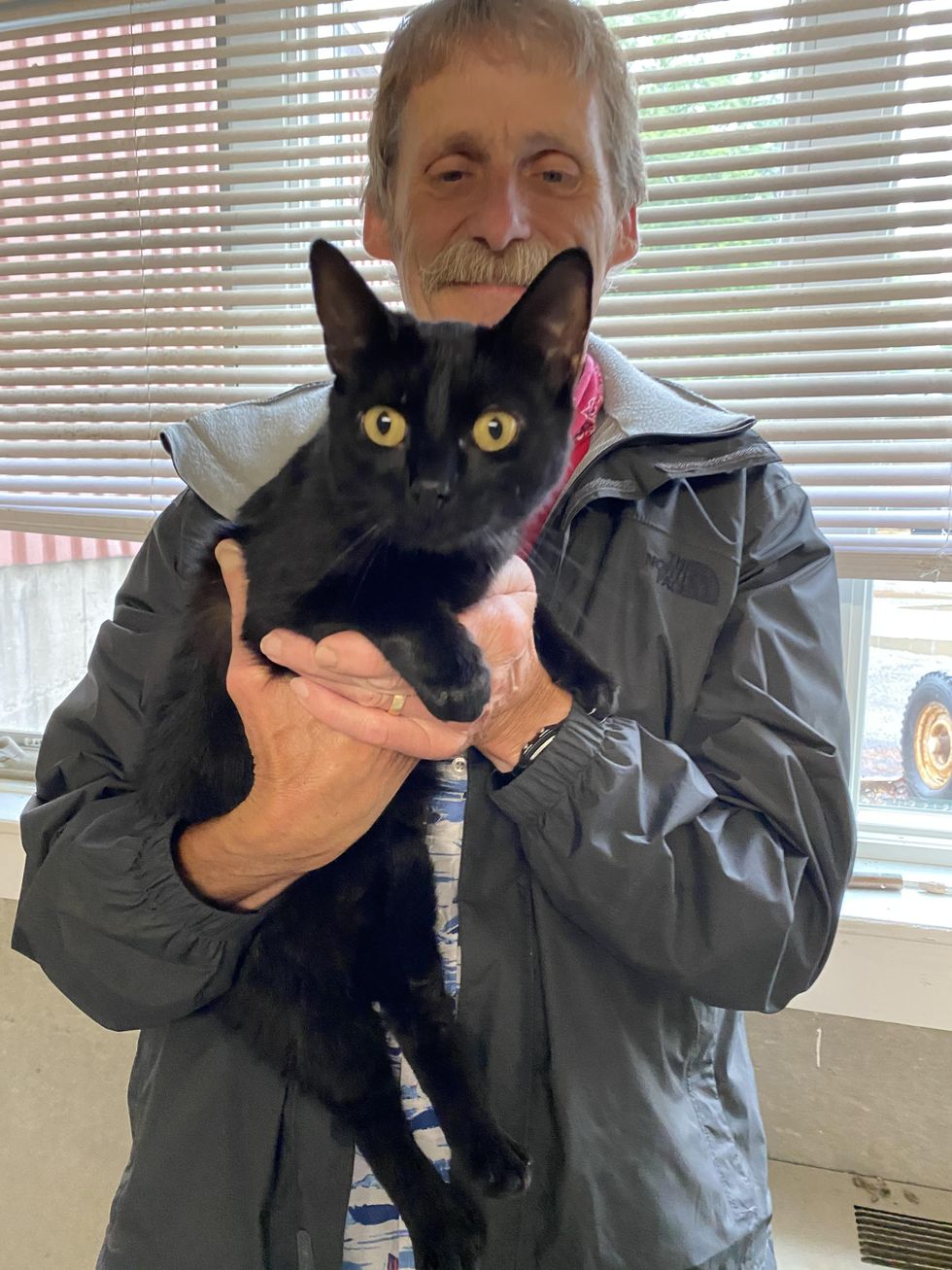 Cat found trapped  in bag in Mudge Pond